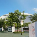 パ・リーグ大好き☆西武のファンクラブはシンプルでバリュー!
